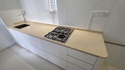 Blk 419C Waterfront II @ Northshore (Punggol), HDB 2 Rooms #561497231